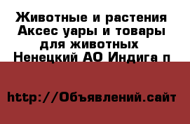 Животные и растения Аксесcуары и товары для животных. Ненецкий АО,Индига п.